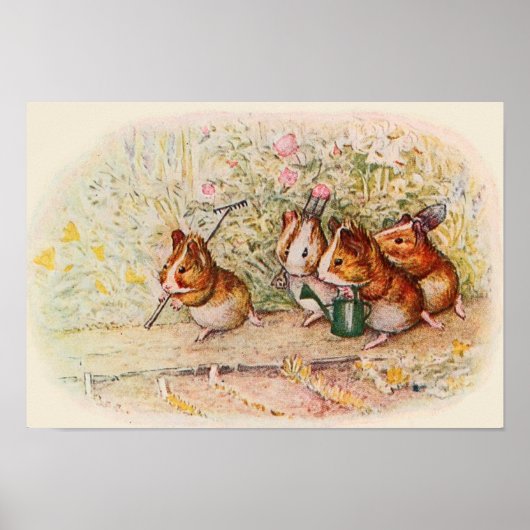 Cavia's in de tuin poster (Voorkant)