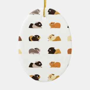Cavia's Keramisch Ornament