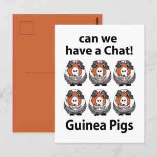 Cavia's Kunnen We Even Kletsen Leuke Cavia's Briefkaart