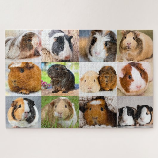 Cavia's Legpuzzel (Horizontaal)