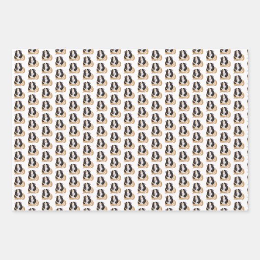 cavia's met een meisje inpakpapier vel (Voorkant)