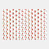 cavia's met een meisje inpakpapier vel (Voorkant)