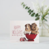 Cavia's met kerstbal feestdagenkaart (Staand voorkant)