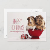 Cavia's met kerstbal feestdagenkaart (Voorkant / Achterkant)