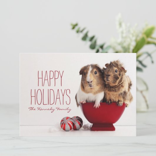 Cavia's met kerstbal feestdagenkaart (Staand voorkant)