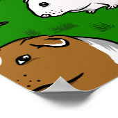 Cavia's patroon poster