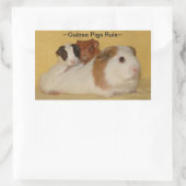 Cavia's Regel Stickers (Tas)