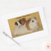 Cavia's Regel Stickers (Envelop)