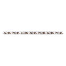 Cavia's Satin Ribbon