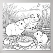 Cavia's Schattigee huisdieren Kleuren Poster (Voorkant)