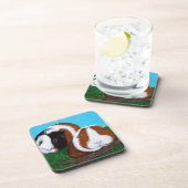 Cavia's schilderen bier onderzetter (Rechterzijde)