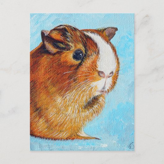 Cavia's schilderen briefkaart (Voorkant)