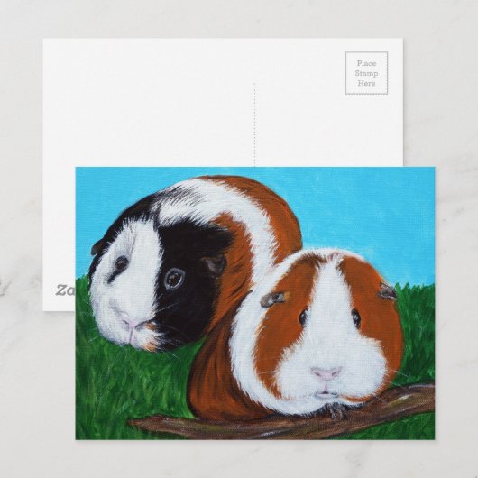 Cavia's schilderen briefkaart (Voorkant / Achterkant)