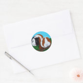 Cavia's schilderen ronde sticker (Envelop)