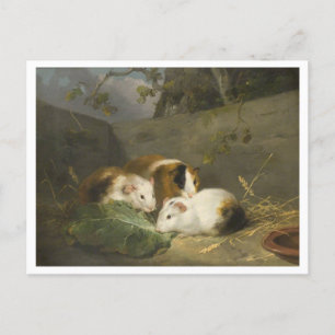 Cavia's schilderij van George Morland Briefkaart