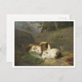 Cavia's schilderij van George Morland Briefkaart (Voorkant / Achterkant)