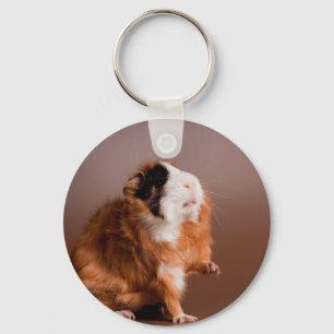cavia's sleutelhanger