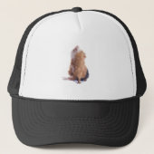 cavia's, trucker pet (Voorkant)