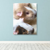 Cavia's van dichtbij canvasprint canvas afdruk (Insitu (Houten vloer))