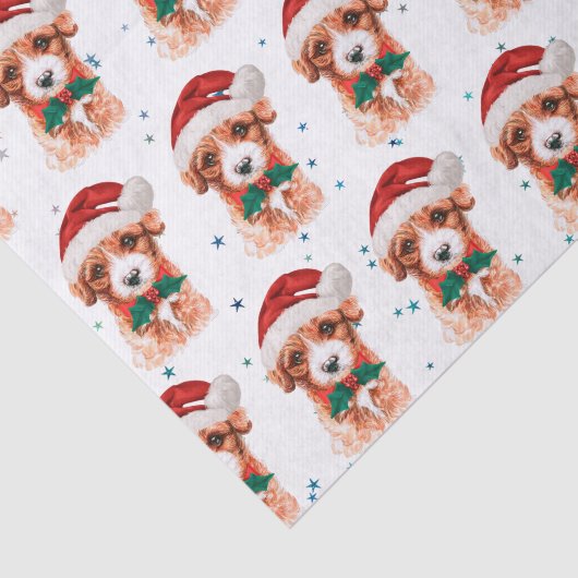 Cavoodle Dog Breed Christmas Stars Tissuepapier (Detail)
