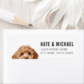 Cavoodle retouradreslabels etiket (Insitu)