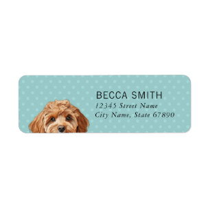 Cavoodle retouradreslabels etiket