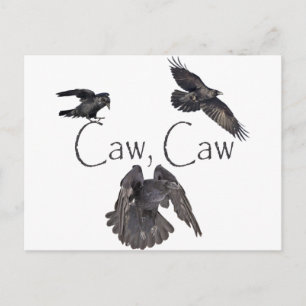 Caw Caw Briefkaart
