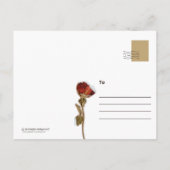 Caw-Caw Crow -stijl Briefkaarten (Achterkant)