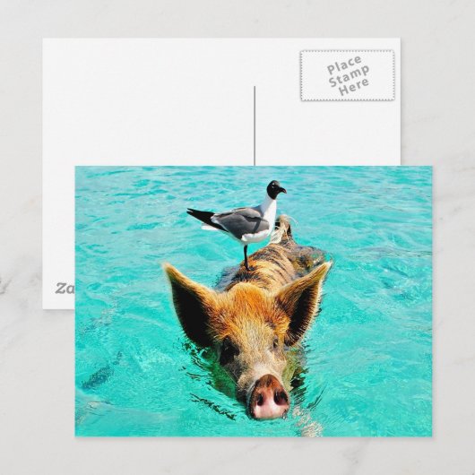 Cay van de pret samen staniel zwemmende briefkaart (Voorkant / Achterkant)
