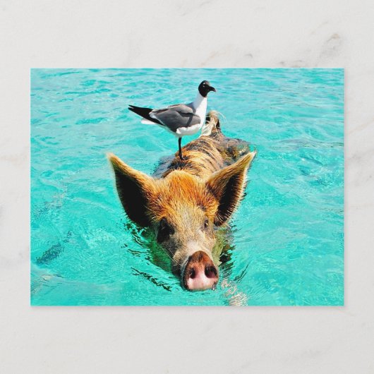 Cay van de pret samen staniel zwemmende briefkaart (Voorkant)
