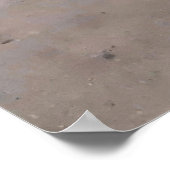 Caye Caulker Stingray Sunset Poster (Hoek)