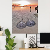 Caye Caulker Stingray Sunset Poster (Thuiskantoor)