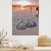 Caye Caulker Stingray Sunset Poster (Keuken)