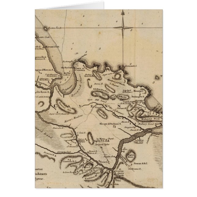 Cayenne 2 (Voorkant)