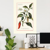 CAYENNE - BOTANISCHE ILLUSTRATIE UIT HET VERLEDEN POSTER (Thuiskantoor)