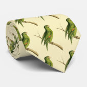 Cayenne goudvleugelparkiet stropdas (Opgerold)