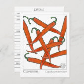 Cayenne Pepper Materia Medica Kruidenstudie Kaart (Voorkant / Achterkant)
