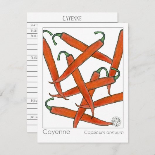 Cayenne Pepper Materia Medica Kruidenstudie Kaart (Voorkant / Achterkant)