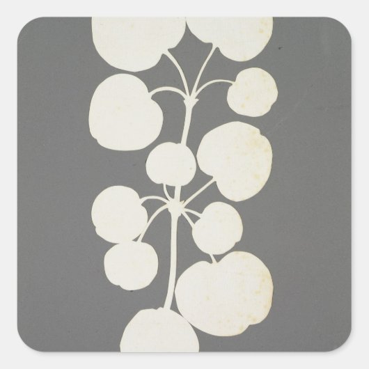 Cayenne Pepper Vierkante Sticker (Voorkant)