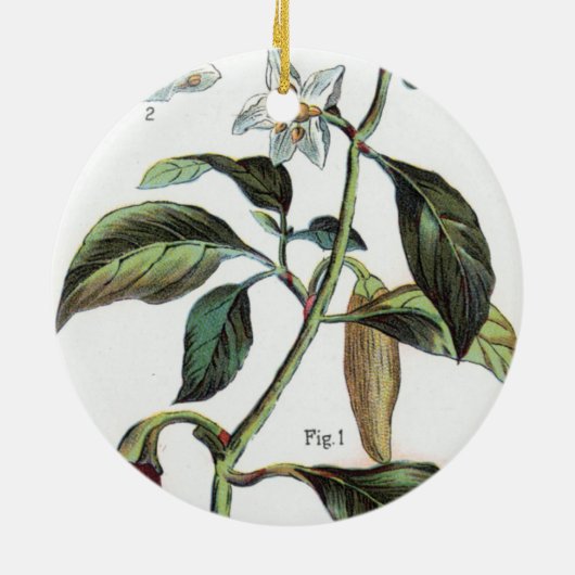 cayennepeper Bloem Keramisch Ornament (Achterkant)