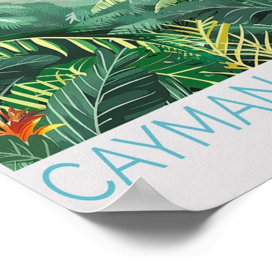 Cayman Island Travel Poster, Caribbean Zee Wall Poster (Hoek)