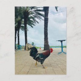 "Cayman Rooster"-Briefkaart door Willowcatdesigns Briefkaart