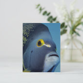 Caymaneilanden, Franse Angelfish Pomacanthus Briefkaart (Staand voorkant)