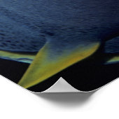 Caymaneilanden, Franse Angelfish Pomacanthus Poster (Hoek)