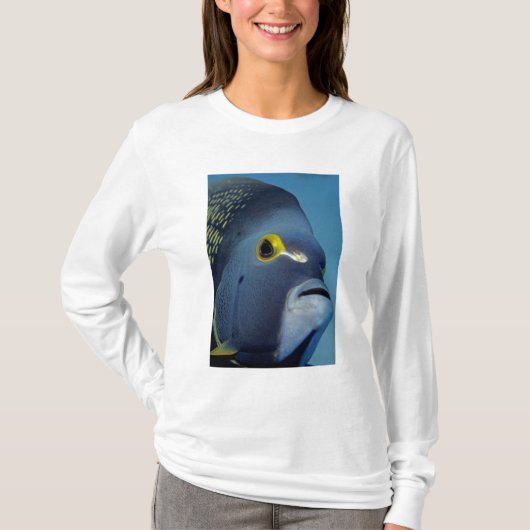 Caymaneilanden, Franse Angelfish Pomacanthus T-shirt (Voorkant)