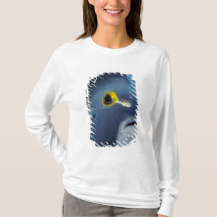 Caymaneilanden, Franse Angelfish Pomacanthus T-shirt