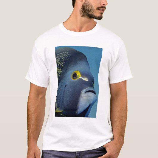 Caymaneilanden, Franse Angelfish Pomacanthus T-shirt (Voorkant)