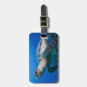 Caymaneilanden, Little Cayman Island, Underwater 2 Bagagelabel (Voorkant verticaal)