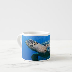 Caymaneilanden, Little Cayman Island, Underwater 2 Espresso Kop