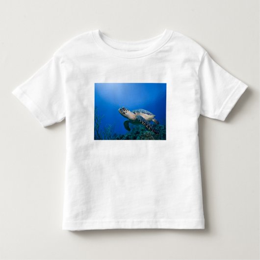 Caymaneilanden, Little Cayman Island, Underwater 2 Kinder Shirts (Voorkant)